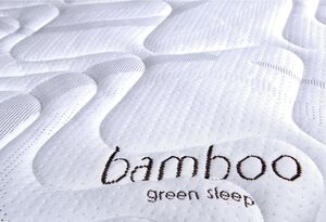 Bamboo